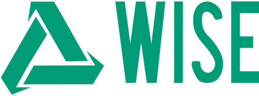 Вайз Груп logo